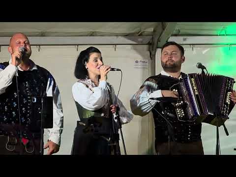 Ansambel Jureta Zajca - Vrh planin