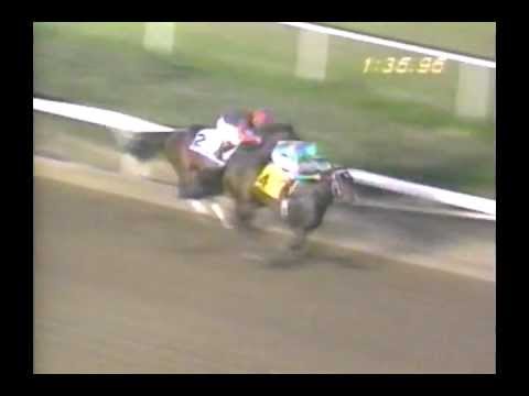 1993 Hollywood Starlet Stakes - Sardula