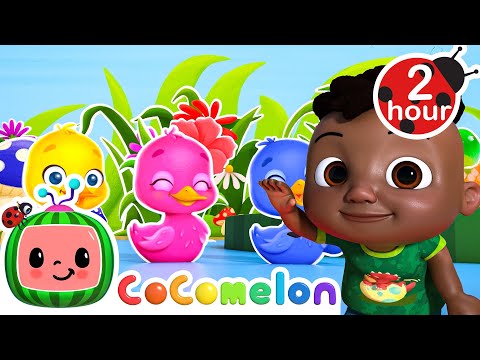Duck Hide and Seek | CoComelon - Cody's Playtime | Songs for Kids & Nursery Rhymes