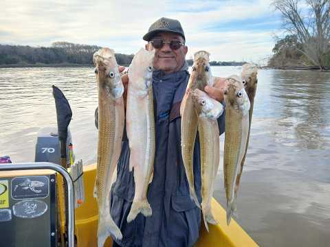 Terrible pesca de pejerreyes en Berisso