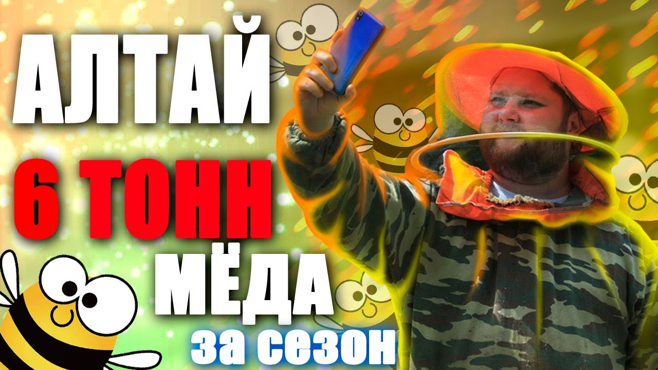 Пчеловодство. 6 ТОНН МЁДА??? Пасека на Алтае. Как добывают мед