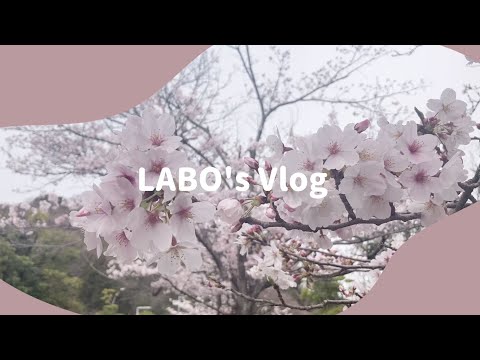【LABO'sVLOG】看護学生の1日　～2024年新学期～