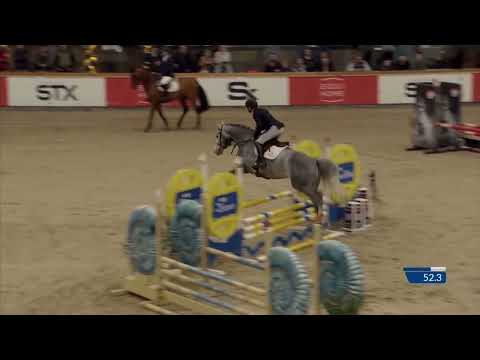 Unicum 2nd round Belgian Stallion Competition 4 y/o stallions 2024