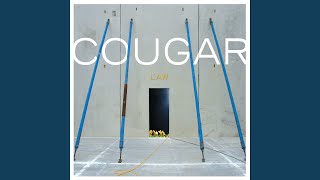 Cougar - Pulse Conditioner