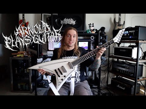 MY PERSONAL GUITARS #8 - Washburn WV40 Vindicator