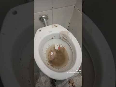 BANHEIRO PARA TURISTAS EM JUQUITIBA A CIDADE QUE NÃO DEU CERTO.