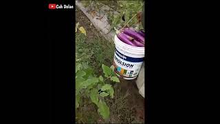 Download lagu STORY WA - CIDRO 2 mp3 Download lagu STORY WA - CIDRO 2 mp3