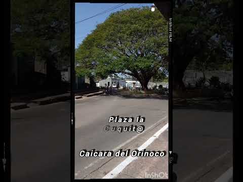 la placita de la historia #caicara