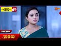 Radhika - Promo | 28 May 2024 | Kannada Serial | Udaya TV