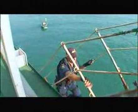 Australian Navy-Boarding party