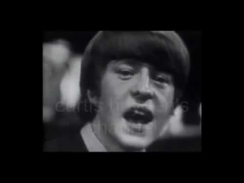 The McCoys - Fever (1966)