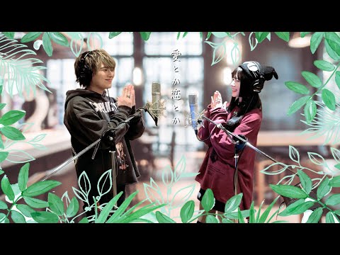 愛とか恋とか (Aitoka koitoka)┃Raon x 竹中雄大(Novelbright)