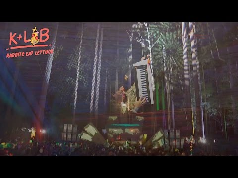 K+Lab @ Rabbits eat lettuce festival.