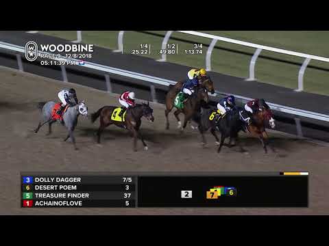 Woodbine, December 8, 2018 - Race 9