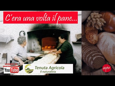 C'era una volta il pane...