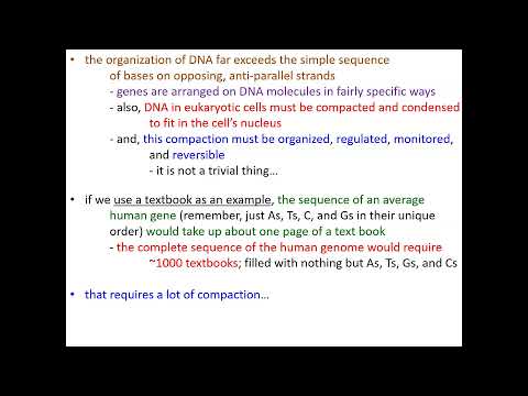 Molecular Genetics, Part 1