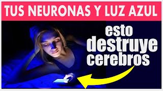 EVITA ESTE HABITO QUE ACABA NEURONAS