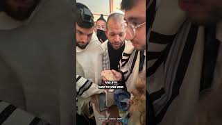 האם האבנים האלו הם באמת מהר סיני? | הגאון הינוקא משיב