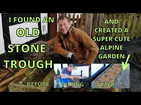 I found a VALUABLE STONE TROUGH and created a SUPER CUTE Alpine Garden