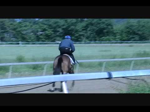 Monarchos Fan and Apparent Danger