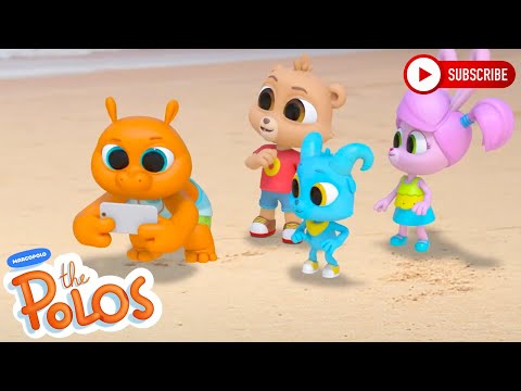 Taking a picture | The Polos | Adventure Learning | Learn At Home - Kingdom Kids Zone, Little Learners - The Polos and MarcoPolo Learning