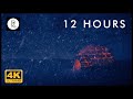 Snowstorm, Blizzard & Howling Winds | 12 Hours Relaxing Sounds for Sleep, Insomnia & Spa