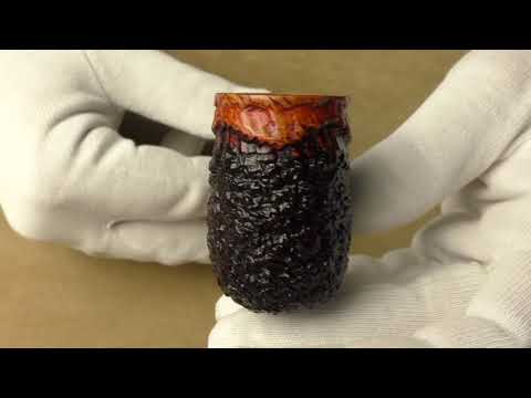 Radice Rind - smoking pipe 584