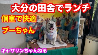 ブーちゃんと一緒にランチ🍝#ブルドッグ #犬のいる暮らし #ランチ 
