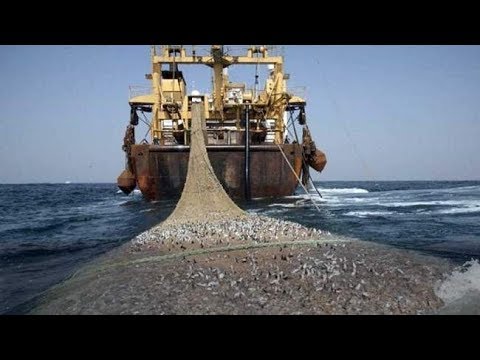 وثائقي أساطيل صيد السمك في الاطلسي المغرب موريتانيا واستغلال للمنطقة