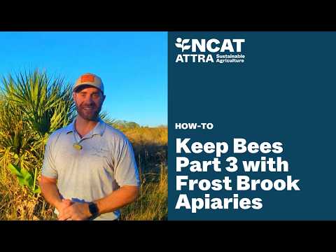 PART 3: HOW TO KEEP BEES WITH FROST BROOK APIARIES