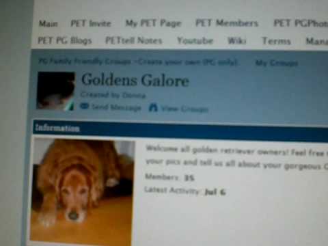 Join our Golden Group :)