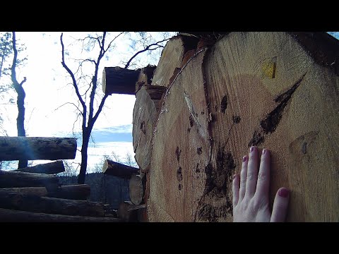 Post Wildfire Hike // Near Paradise, CA // Ponderosa Trail logging part 1 // Raw