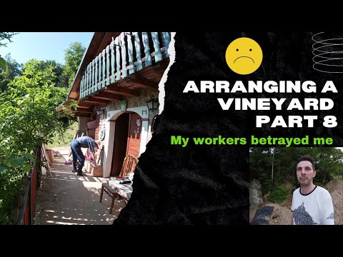 Arranging a vineyard during pandemic part 8 (Workers betrayed me) * the suport wall *