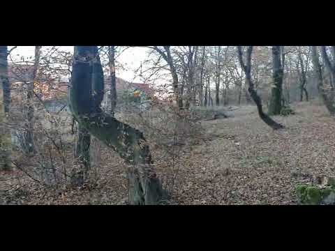 VIDEO!!! Teren Intravilan Padure Schit — Video