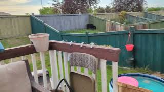 Spruce Village Awaits!