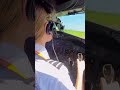 ‍ ️ Smooth Landing Puerto Plata