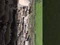 Kaise Din Bite Koi Jatan Bata Ja Acche Vichar Motivation Motivational