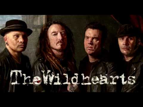 2019-05-25 - Call of the Wild - The Wildhearts