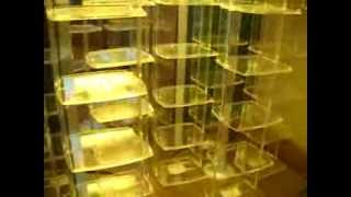 Chicago Craigslist: For Sale Times Display Case Great Condition