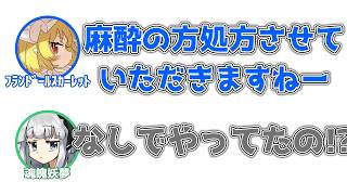 フラン「手術お疲れ様です、では麻酔を処方させていただきます」妖夢「なしでやってたの！？」【ふたセリフ】