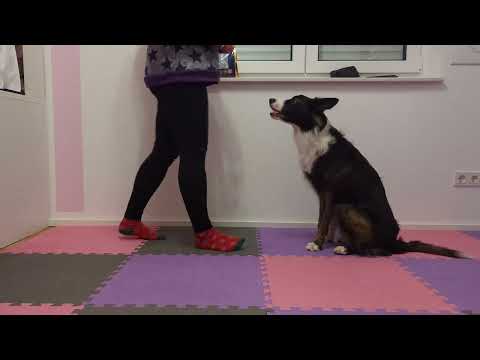 Obi 1 Kimbo - Platz hinten fest 3