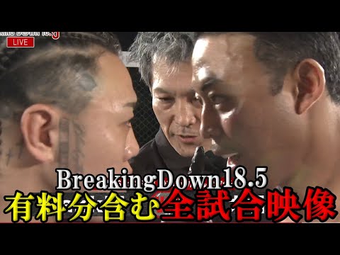 [Paid content included] Breaking Down 18.5 All Match Footage [Breaking Down 18.5/Mikuru Asakura/Y...