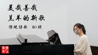 美哉善哉羔羊的新歌