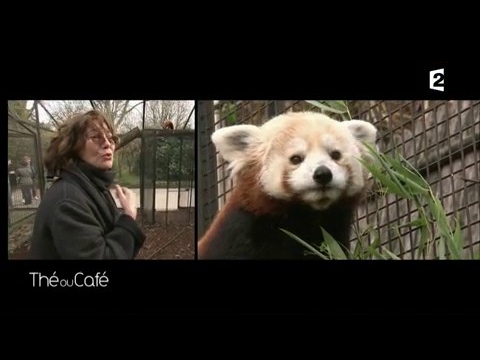 Une journée avec Jane Birkin - Thé ou Café - 01/04/2017