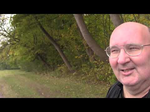 MongoTV_1572 - Gåtur fredag Den 5.Oktober 2018 i Småregn - God Weekend