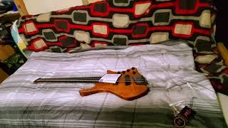 Video thumbnail for Strandberg Boden prog 5 string bass unboxing by quaz18
