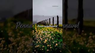 Download lagu 💕Saarumathi Neethan💕Saathi Sanam💕Deva 💕 #musicuniverse8152 #videolyrics #statussong #tamilsong mp3 Download lagu 💕Saarumathi Neethan💕Saathi Sanam💕Deva 💕 #musicuniverse8152 #videolyrics #statussong #tamilsong mp3