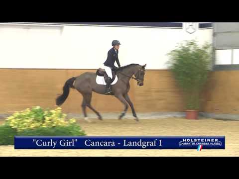 103. Curly Girl v. Cancara - Landgraf I
