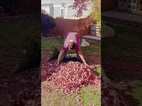 🚨Leaf Raking Hack🚨 #diy #rakingleaves