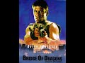 DJ SEAMAN ENT BRIDGE OF DRAGONS 1A
